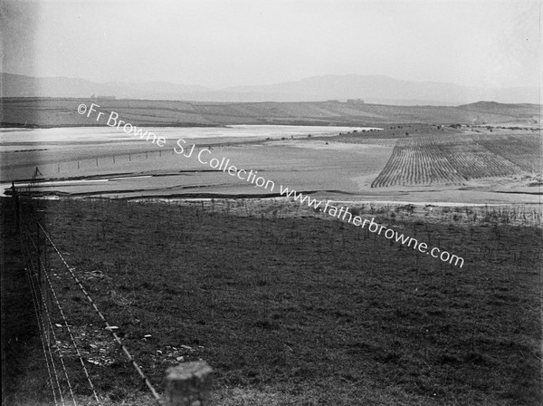 BENT GRASS PLANTED TO FIX SAND NEAR HORN HEAD